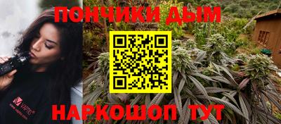 индика Гусиноозёрск