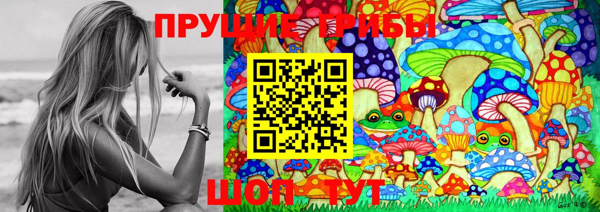 Галлюциногенные грибы прущие грибы Чернушка