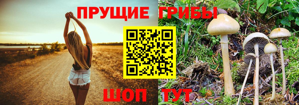 Галлюциногенные грибы мицелий  Вход с VPN  Чернушка 